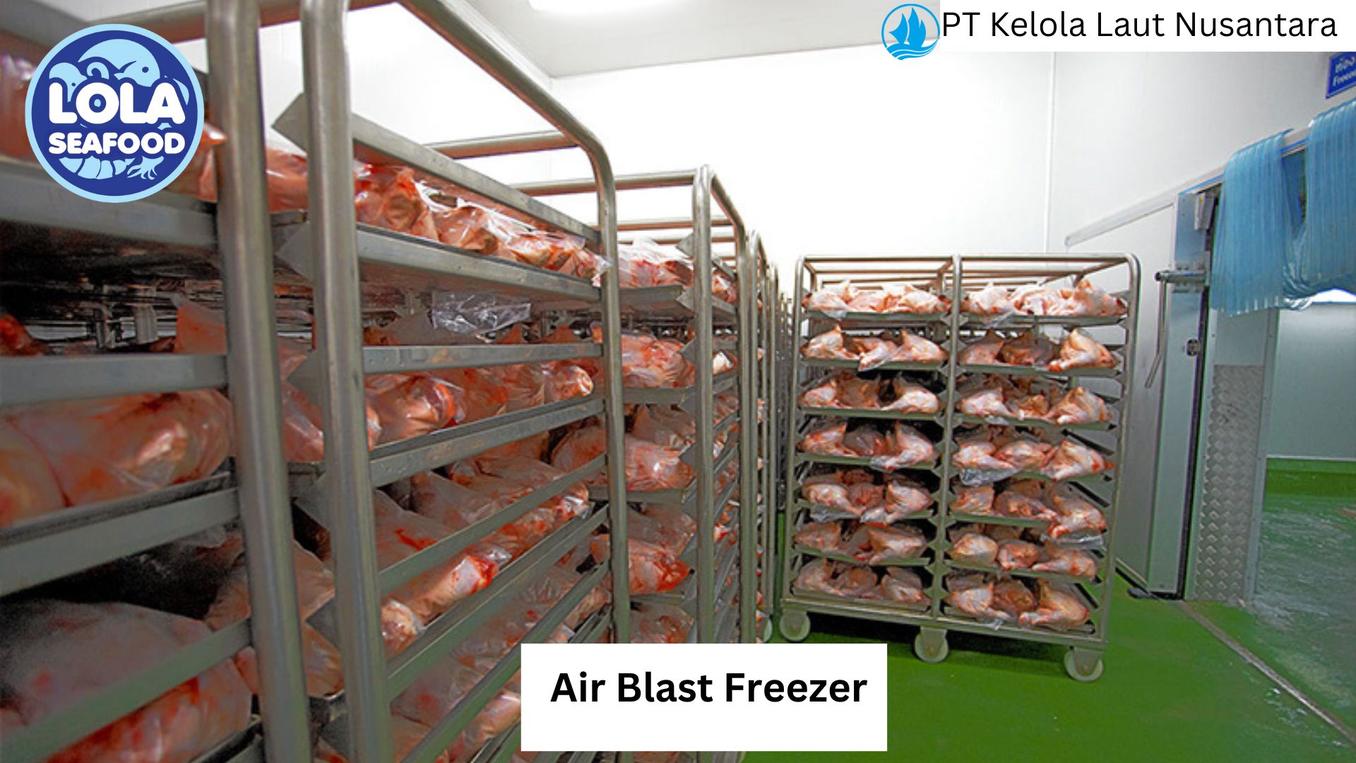 Air Blast Freezer